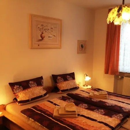 酒店 Gasthof-pension Silberhaus