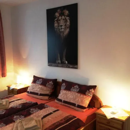 Gasthof-pension Silberhaus 酒店 Tröstau